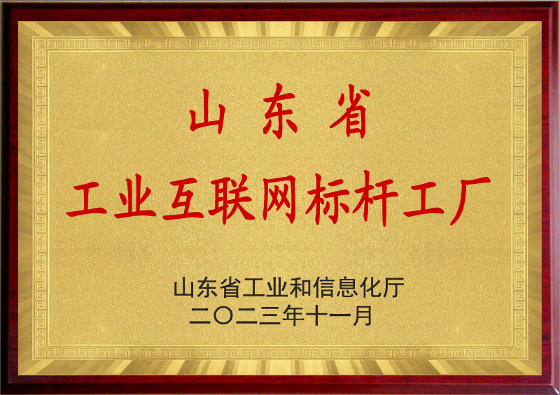 山東省工業(yè)互聯(lián)網(wǎng)標桿工廠